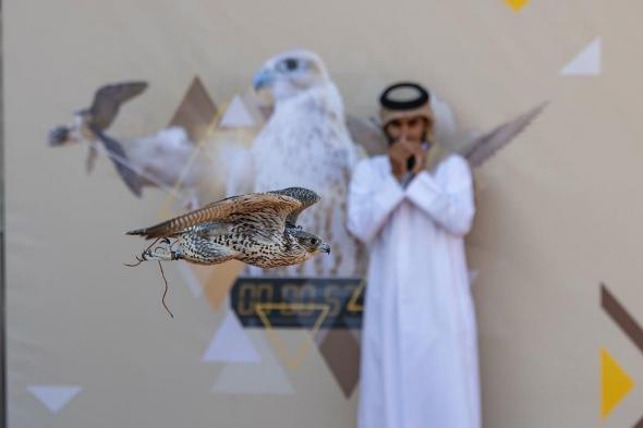 ختام
منافسات
الملاك
الدوليين
بمهرجان
الملك
عبدالعزيز
للصقور
2025