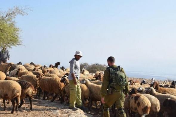 مستوطنون
يهاجمون
مساكن
المواطنين
ويحاولون
سرقة
أغنامهم
جنوب
الخليل