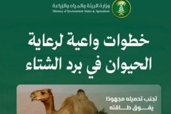 “البيئة”
تدعو
لتعزيز
سلوكيات
الرفق
بالحيوانات
والاعتناء
بها
أثناء
الأمطار
والأجواء
الباردة