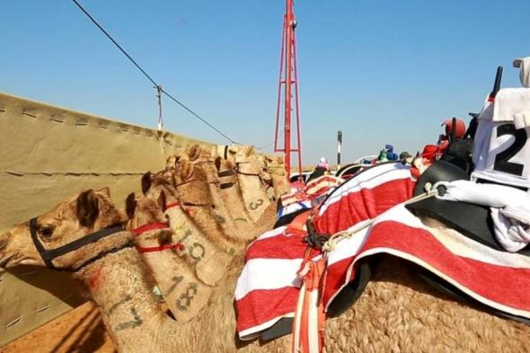 انطلاق
      سباق
      «مكرمة
      حاكم
      الشارقة»
      بميدان
      الذيد