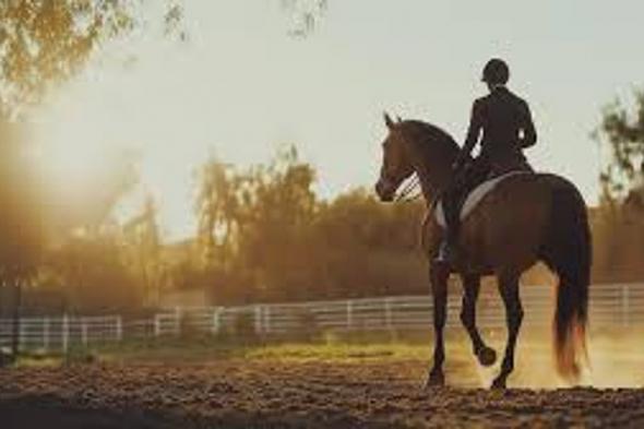 الدكتور
    خالد
    النمر
    يحذّر:
    ركوب
    الخيل
    مرهق
    لفقرات
    الظهر
    ويُمنع
    على
    هذه
    الفئات