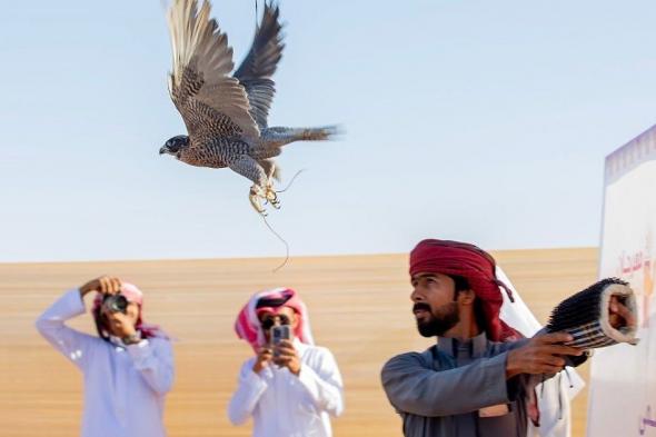 120
طيرًا
حرًا
تتنافس
في
مسابقة
الهدد
بمهرجان
شرورة
الشتوي
الثامن