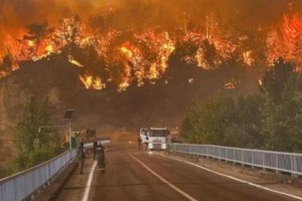 دراسة:
حرائق
الغابات
تطلق
كميات
من
تلوث
الهواء
تزيد
عن
المتوقع