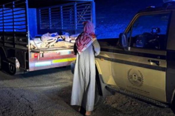 ضبط
    مخالف
    لنظام
    البيئة
    لنقله
    حطبًا
    محليًا
    بمحمية
    الأمير
    محمد
    بن
    سلمان
    الملكية