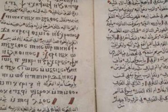 المتاحف
تحتفي
باليوم
الدولى
للتعليم..
تسليط
الضوء
على
مكانة
العلم
والمعرفة
عبر
العصور