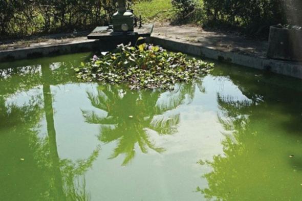 تطوير نظام ذكاء اصطناعي لمراقبة جودة المياه والتغير المناخي