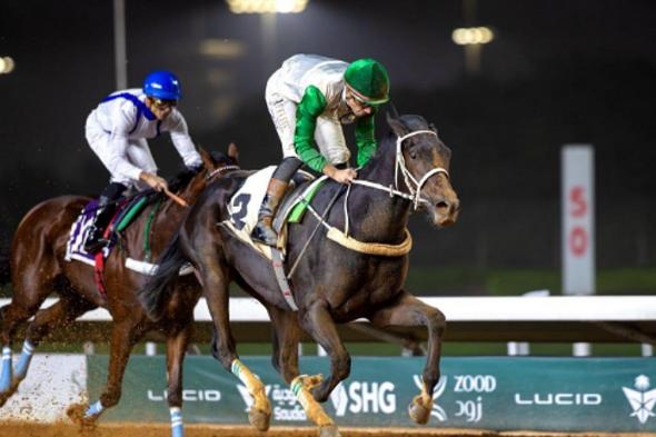 ميدان
    الملك
    عبدالعزيز
    للفروسية
    يختتم
    سباقات
    الأسبوع
    الثاني
    عشر
    بمنافسات
    قوية