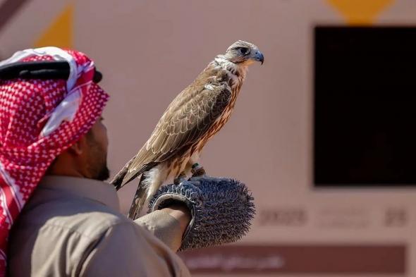 صقر
    يُشترى
    بـ30
    ألف
    ريال
    ويحصد
    120
    ألفًا
    في
    مهرجان
    الملك
    عبدالعزيز
    للصقور