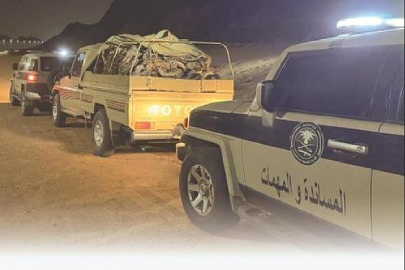 ضبط
    مواطن
    مخالف
    لنظام
    البيئة
    بحوزته
    حطب
    محلي
    معروض
    للبيع
    بمنطقة
    حائل