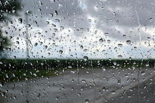 35
    تقلبًا
    جويًا
    وجدة
    تسجل
    أعلى
    كمية
    هطول
    أمطار..
    "الأرصاد"
    يُعلن
    إحصائيات
    2025