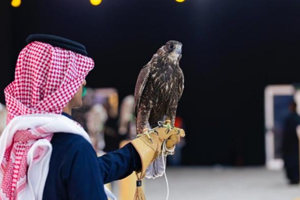 إعلان
    الفائزين
    في
    مسابقة
    المزاين
    بمهرجان
    الملك
    عبدالعزيز
    للصقور
    2025