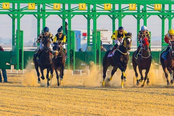 ميدان
    سباقات
    الخيل
    بنجران
    يُعلن
    نتائج
    حفل
    سباقه
    الـ15
    للموسم
    الحالي