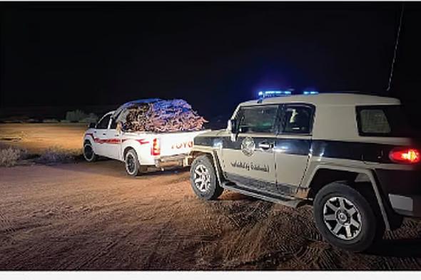 الأمن
    البيئي
    يضبط
    مواطنًا
    لتخزينه
    حطبًا
    محليًا
    في
    منطقة
    المدينة
    المنورة