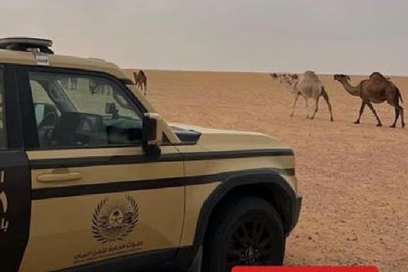 الأمن
    البيئي
    يضبط
    سودانيًا
    لارتكابه
    مخالفة
    رعي
    في
    محمية
    الإمام
    تركي
    بن
    عبدالله
    الملكية