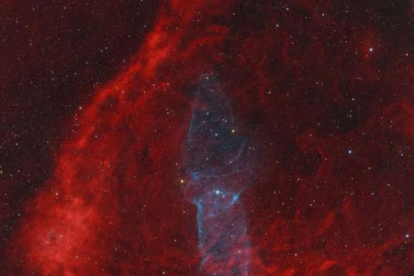 "مرصد الختم" ينجح في تصوير "سديم الحبار" من سماء الإمارات