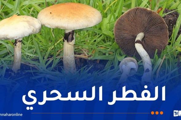 العاصمة:
هكذا
حوّل
طلبة
إقامة
جامعية
إلى
حديقة
تجارب
لزراعة
المخدرات