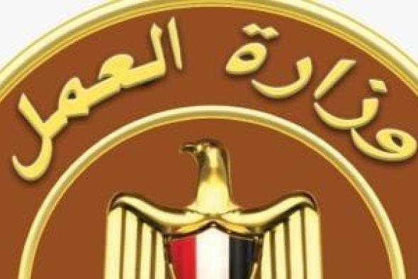 وزارة
العمل
تعلن
عن
وظائف
بمرتبات
تصل
لـ
13.5
ألف
جنيه..
تفاصيل