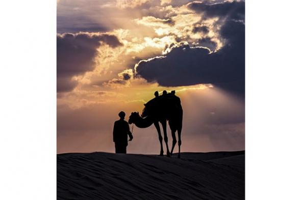 لوحات الشتاء في صحراء دبي