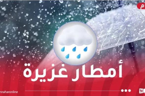 تصل
40
ملم..
أمطار
رعدية
غزيرة
على
15
ولاية