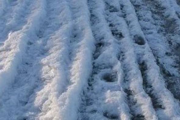 مركز
المناخ
يكشف
كواليس
موجة
الصقيع
وكيفية
حماية
المحاصيل