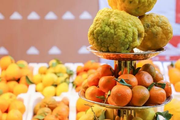 برعاية
    أمير
    الرياض..
    انطلاق
    مهرجان
    "حمضيات
    الحريق"
    الأربعاء
    المقبل
    لدعم
    المزارعين
    المحليين