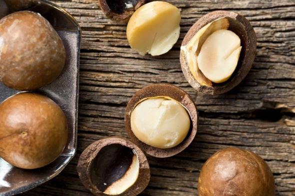 كيف
تدعم
مكسرات
المكاديميا
القدرة
الجنسية
للرجال؟