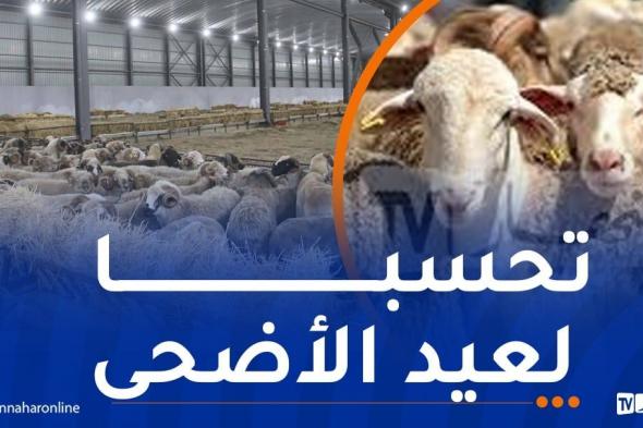 رئيس
الجمهورية
يأمر
باستيراد
مليون
رأس
غنم