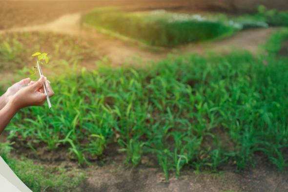 حكومة الإمارات تصدر قوانين مُحدثة للحجر الزراعي والبيطري وحماية الأصناف النباتية الجديدة والاتجار الدولي بالحيوانات والنباتات المهددة بالانقراض