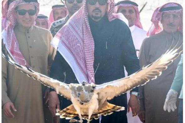 الأمير
    فيصل
    بن
    مشعل
    يُطلق
    20
    طائرًا
    من
    طيور
    الحبارى
    في
    متنزه
    القصيم
    الوطني