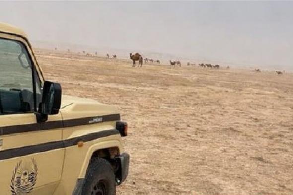 الأمن
    البيئي
    يضبط
    مواطنًا
    لارتكابه
    مخالفة
    رعي
    في
    محمية
    الملك
    عبدالعزيز