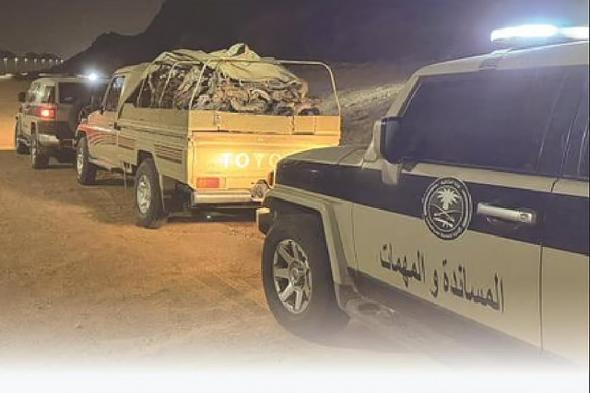 ضبط
    مواطن
    وباكستانيين
    لنقلهم
    حطبًا
    محليًا
    في
    محمية
    الإمام
    تركي
    بن
    عبدالله
    الملكية