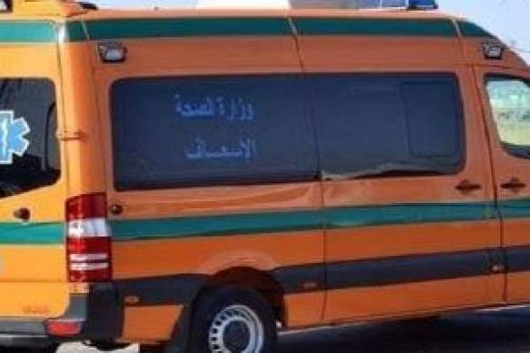 مصرع
سيدة
صدمتها
سيارة
أثناء
عبورها
للطريق
فى
عين
شمس