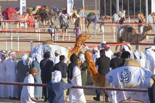 مسابقات مهرجان الظفرة تعزز مكانة التراث الإماراتي