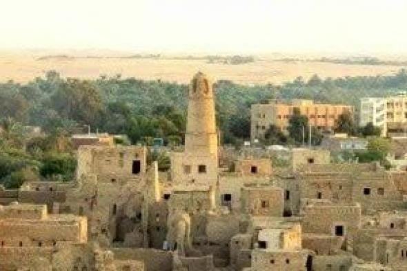 فن
العمارة
الإسلامية..
الأماكن
الأثرية
فى
الوادى
الجديد
أيقونة
الجذب
السياحى