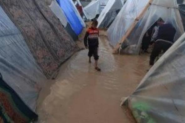 الأونروا:
المساعدات
لغزة
لا
تلبي
الاحتياجات
وما
تزال
دون
المستوى
المطلوب