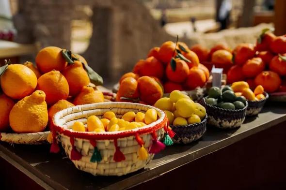 «موسم
    العُلا
    للحمضيات»
    يشهد
    إقبالًا
    متزايدًا
    تزامنًا
    مع
    إجازة
    منتصف
    العام
    الدراسي