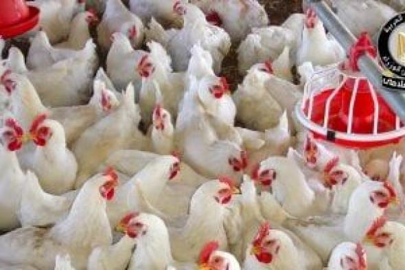 مجلس
الوزراء
يوضح
حقيقة
ظهور
فيروس
أنفلونزا
الطيور
بالمزارع
المصرية