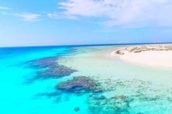 «أم
الشيخ»..
جزيرة
مفتوحة
ووجهة
لعشاق
السياحة
البيئية
والغوص
بمرسى
علم