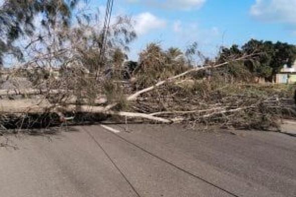 سقوط
شجرة
على
طريق
رفد
بلقاس-جمصة
ومحافظ
الدقهلية
يشدد
على
متابعة
تقلبات
الطقس