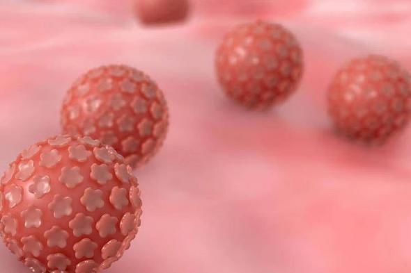 فهد
    الطبية
    توضح
    أسباب
    الإصابة
    بعدوى
    فيروس
    الورم
    الحليمي
    البشري
    وطرق
    الوقاية
    منها