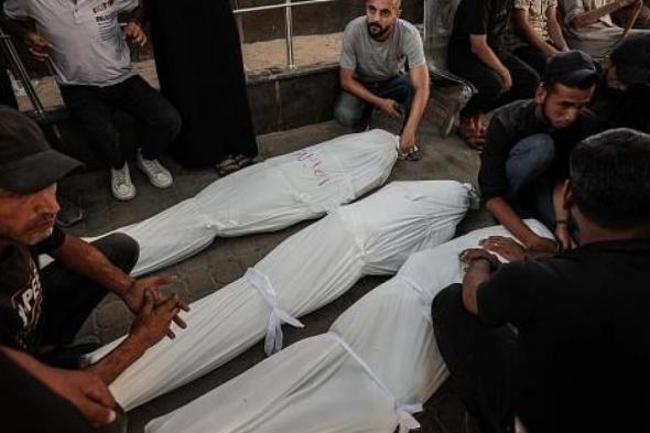 محدث:
غزة
-
3
شهداء
وعمليات
نسف
واسعة
للمنازل
جنوبي
القطاع