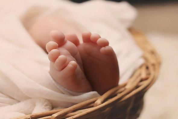 تحذير
    من
    "الغذاء
    والدواء"
    بشأن
    أجهزة
    مراقبة
    نبض
    الجنين