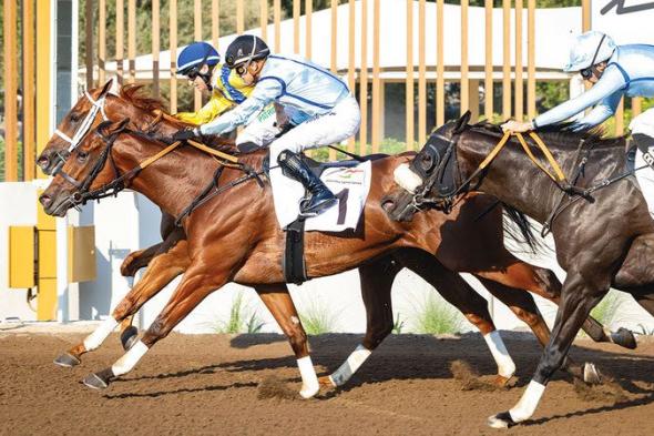 91 خيلاً تنافس على ألقاب السباق السادس في موسم مضمار «جبل علي»