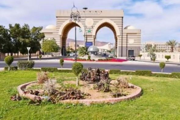 الجامعة
    الإسلامية
    تحدّد
    مواعيد
    إجراء
    الاختبارات
    التخصصية
    لبرامج
    الماجستير
    والدكتوراة
    النظرية