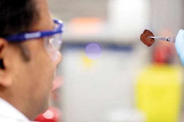 فريق بحثي يبتكر بطاريات «زنك» مستدامة.. قابلة للشحن ومنخفضة الكُلفة