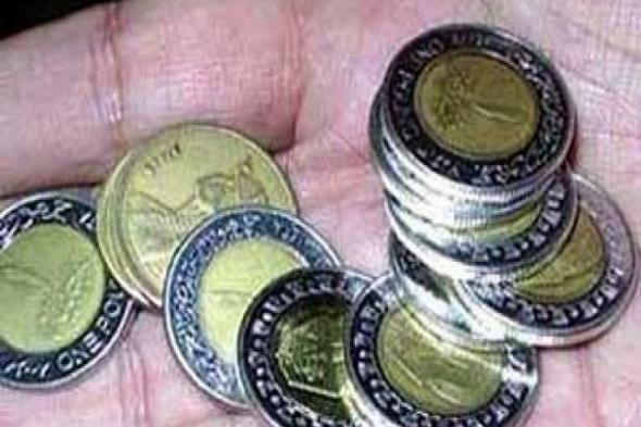 تحركات
      الحكومة
      لحل
      أزمة
      الفكة
      فى
      الأسواق