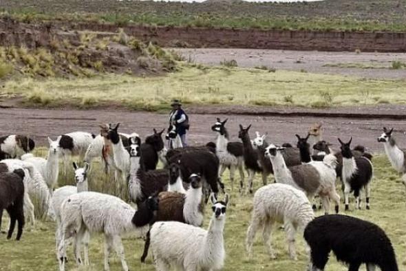 من
      غرائب
      الزمن..
      وصفات
      علاج
      لا
      يصدقها
      العقل