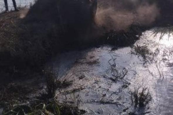 إزالة
أحواض
سمكية
مخالفة
على
حرم
مصرف
بحر
البقر
بجنوب
بورسعيد