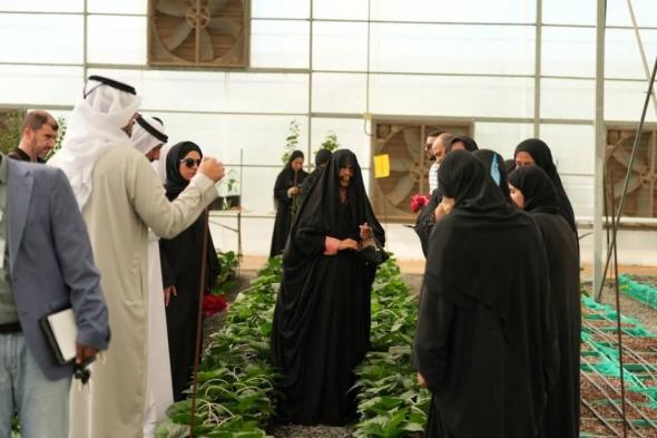 يوم
      مفتوح
      للمزارعين
      في
      محطة
      أبحاث
      الكويتات