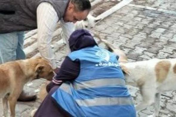 حالات
بقانون
الحيوانات
الخطرة
والكلاب
تلزم
مالكها
بإخطار
السلطات..
اعرفها